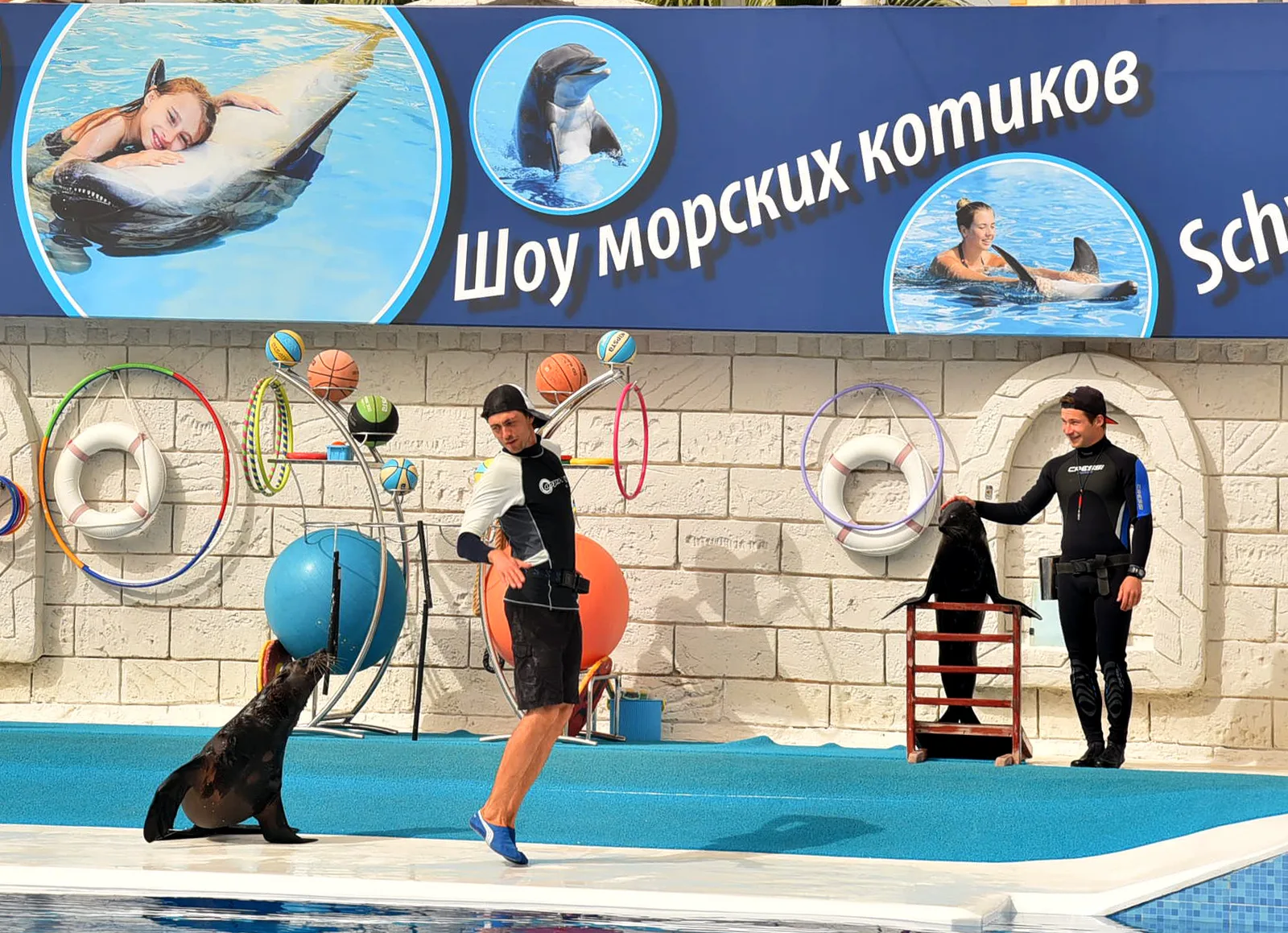 Aksu Dolphin Experience show and swimming options